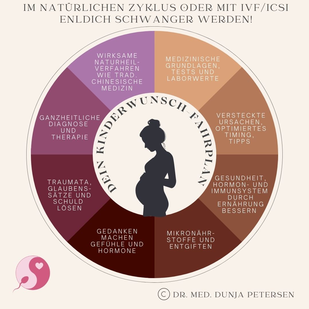 Kinderwunsch-Fahrplan - 8-Wochen-Programm mit Dr. Dunja Petersen